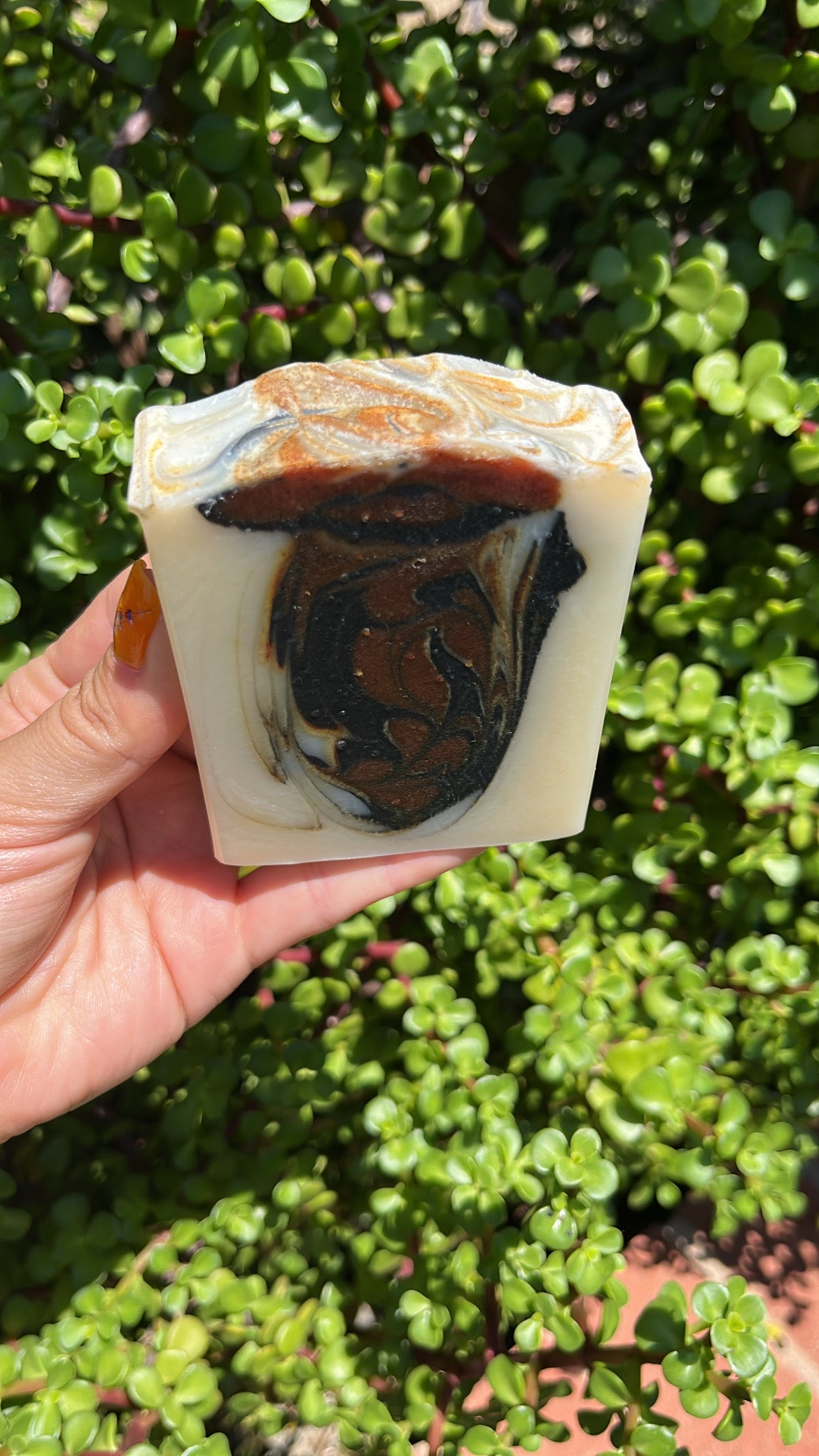 Eucalyptus Swirl