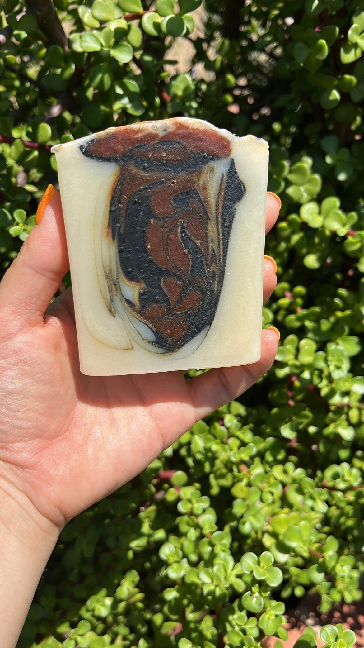 Eucalyptus Swirl
