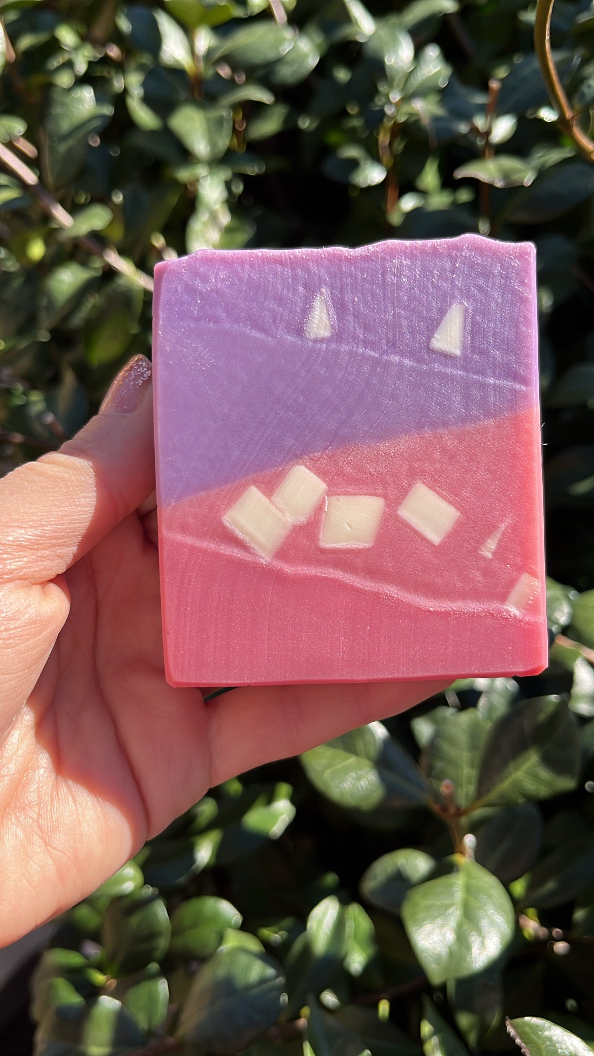 Guava & Fig Soap