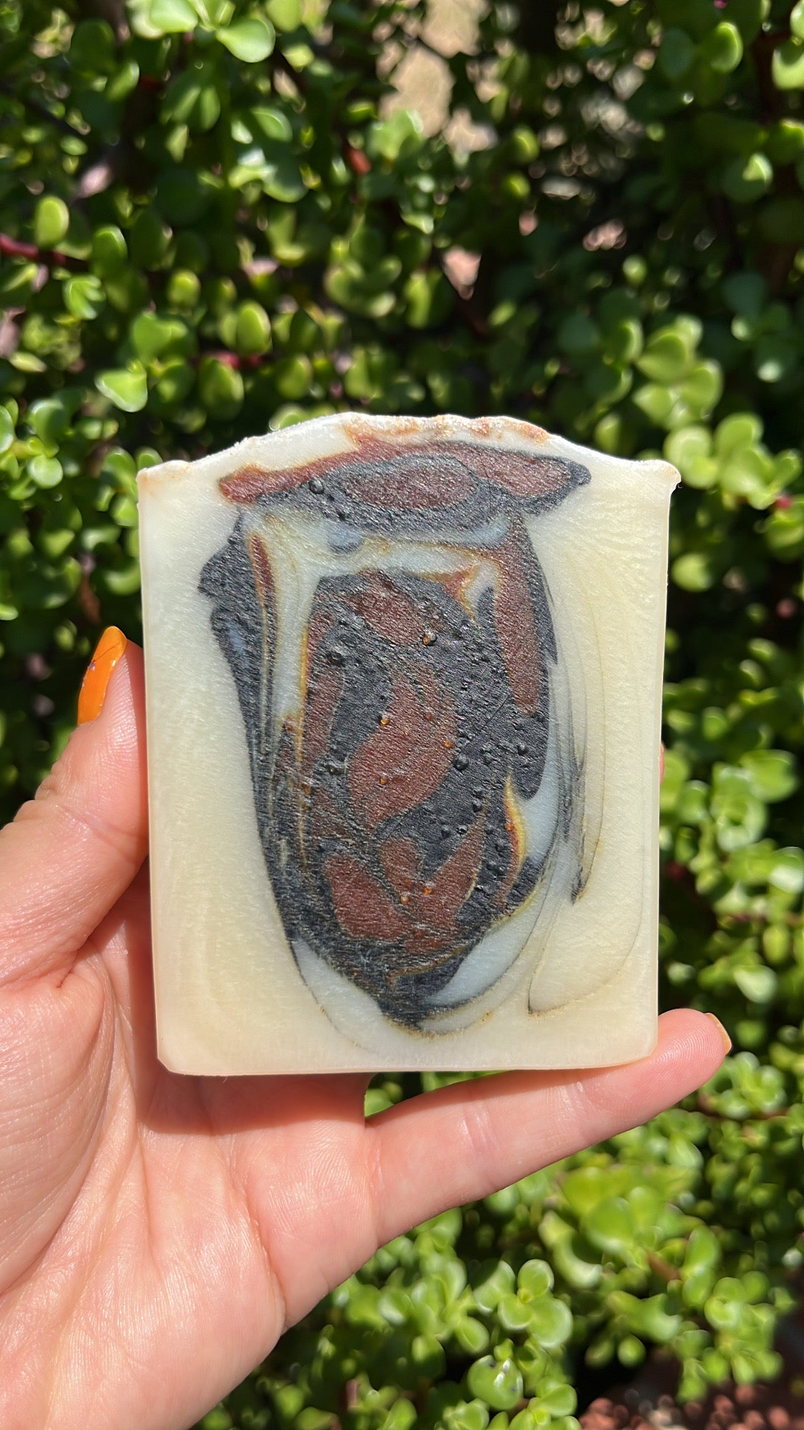 Eucalyptus Swirl