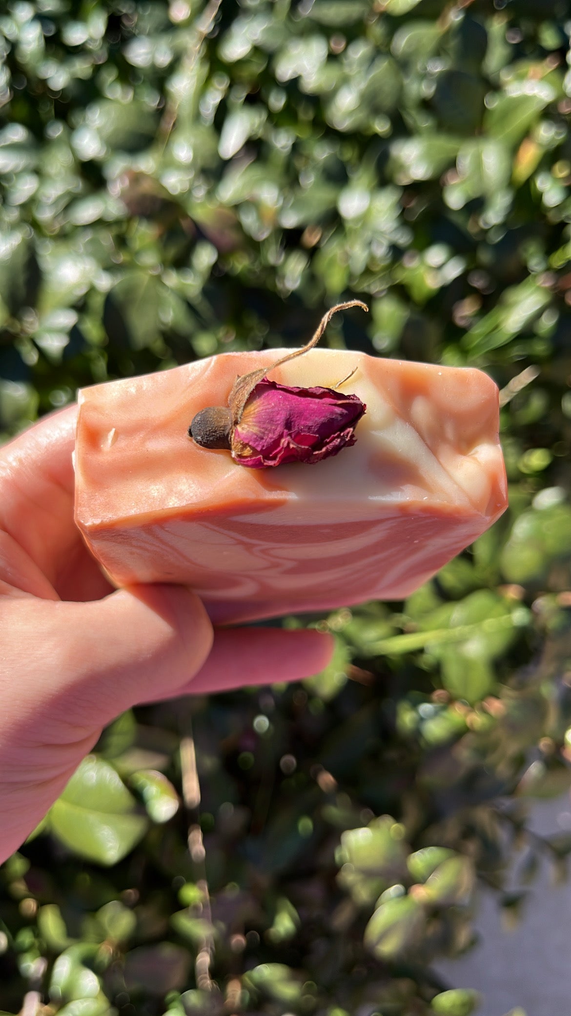 Honey Rose Clay Soap