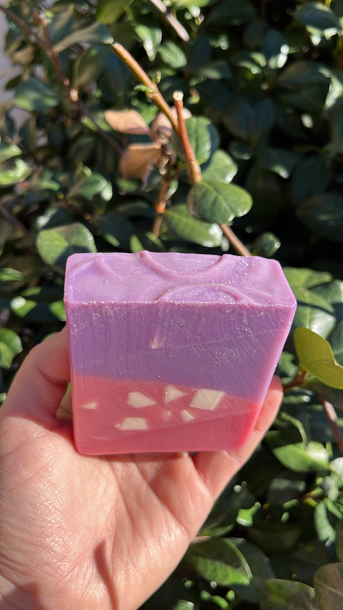 Guava & Fig Soap