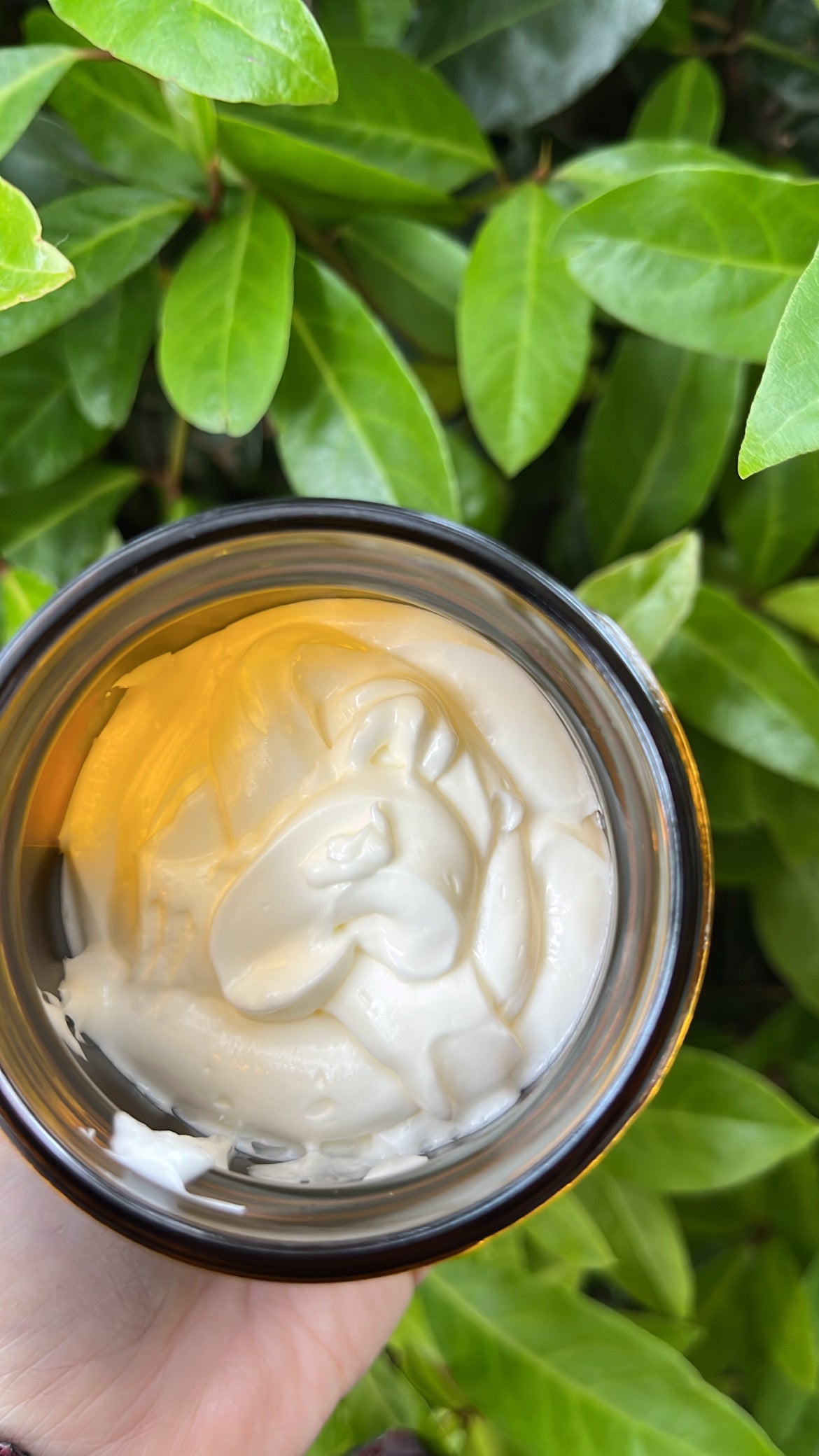 Beef Tallow Moisturizer Lavender Vanilla 4oz