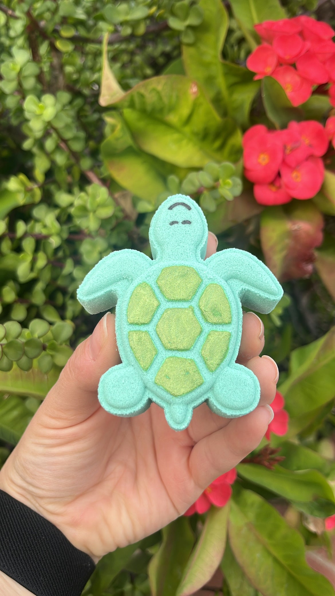 Turtle Bath Bomb
