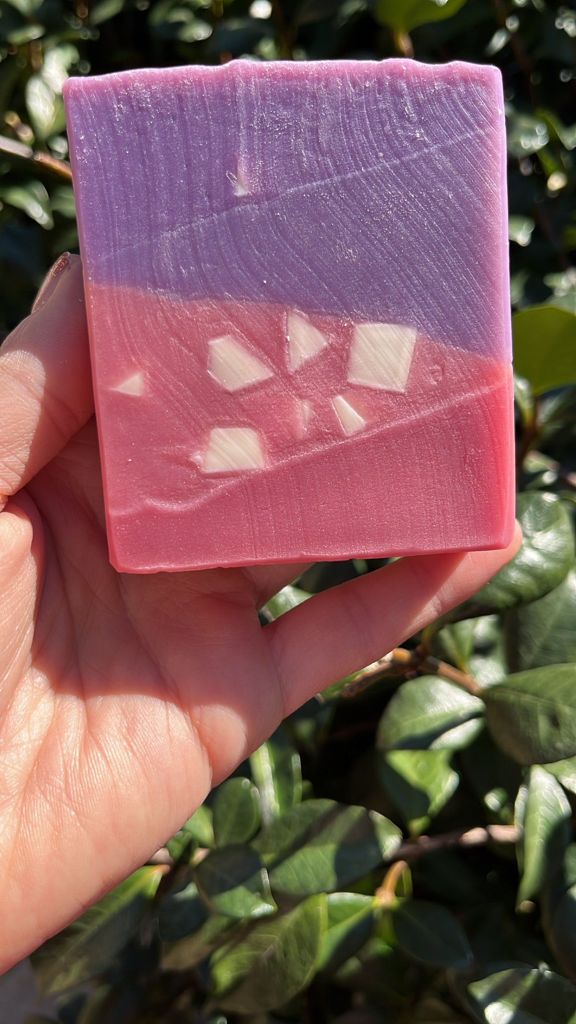 Guava & Fig Soap