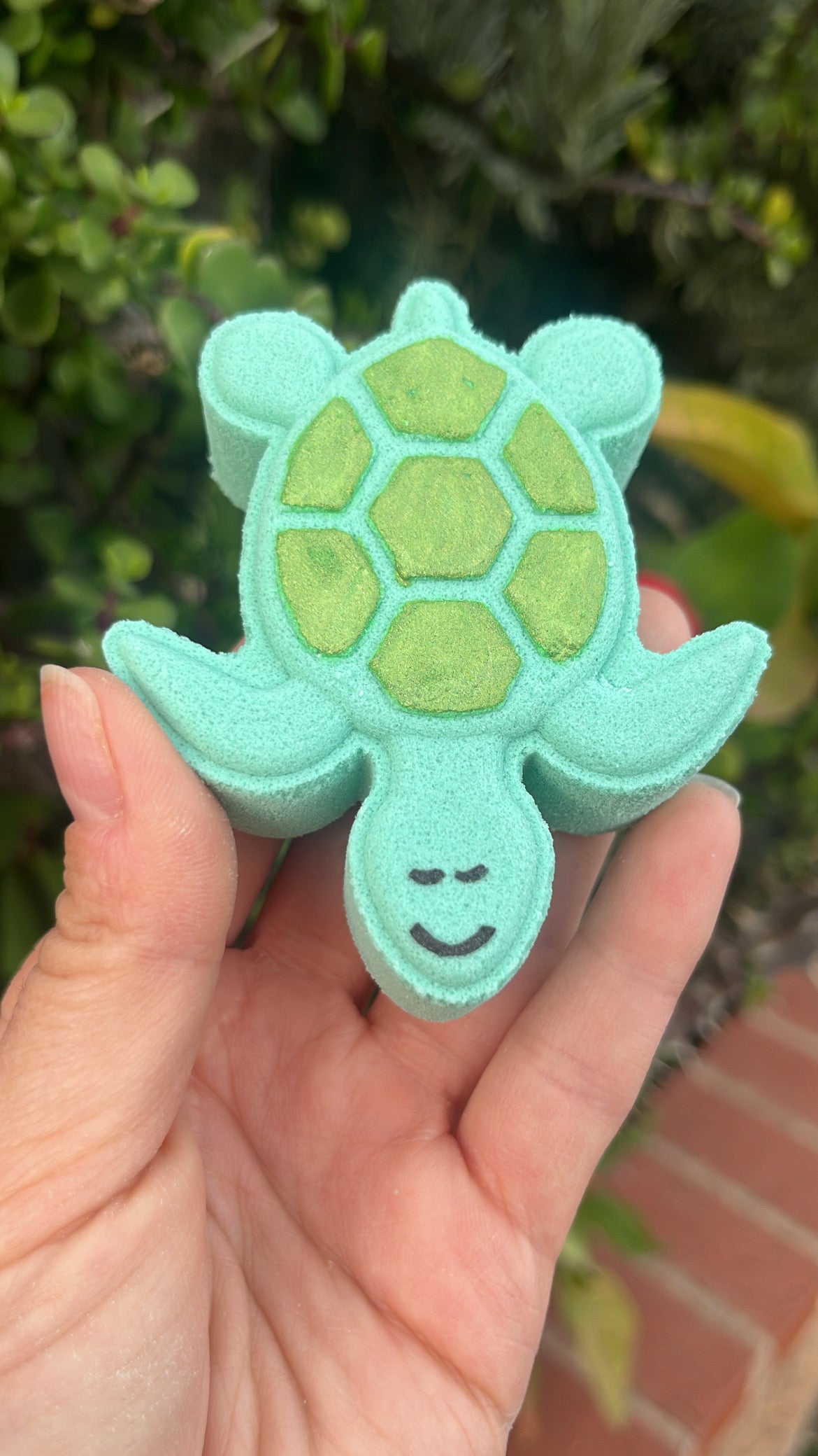 Turtle Bath Bomb