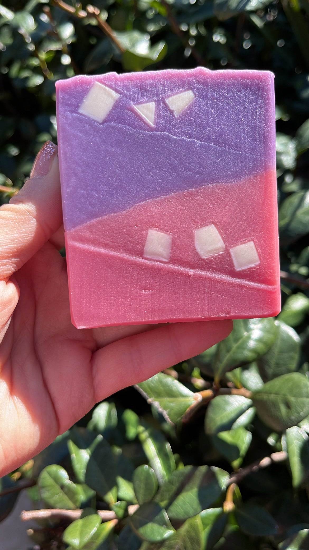 Guava & Fig Soap