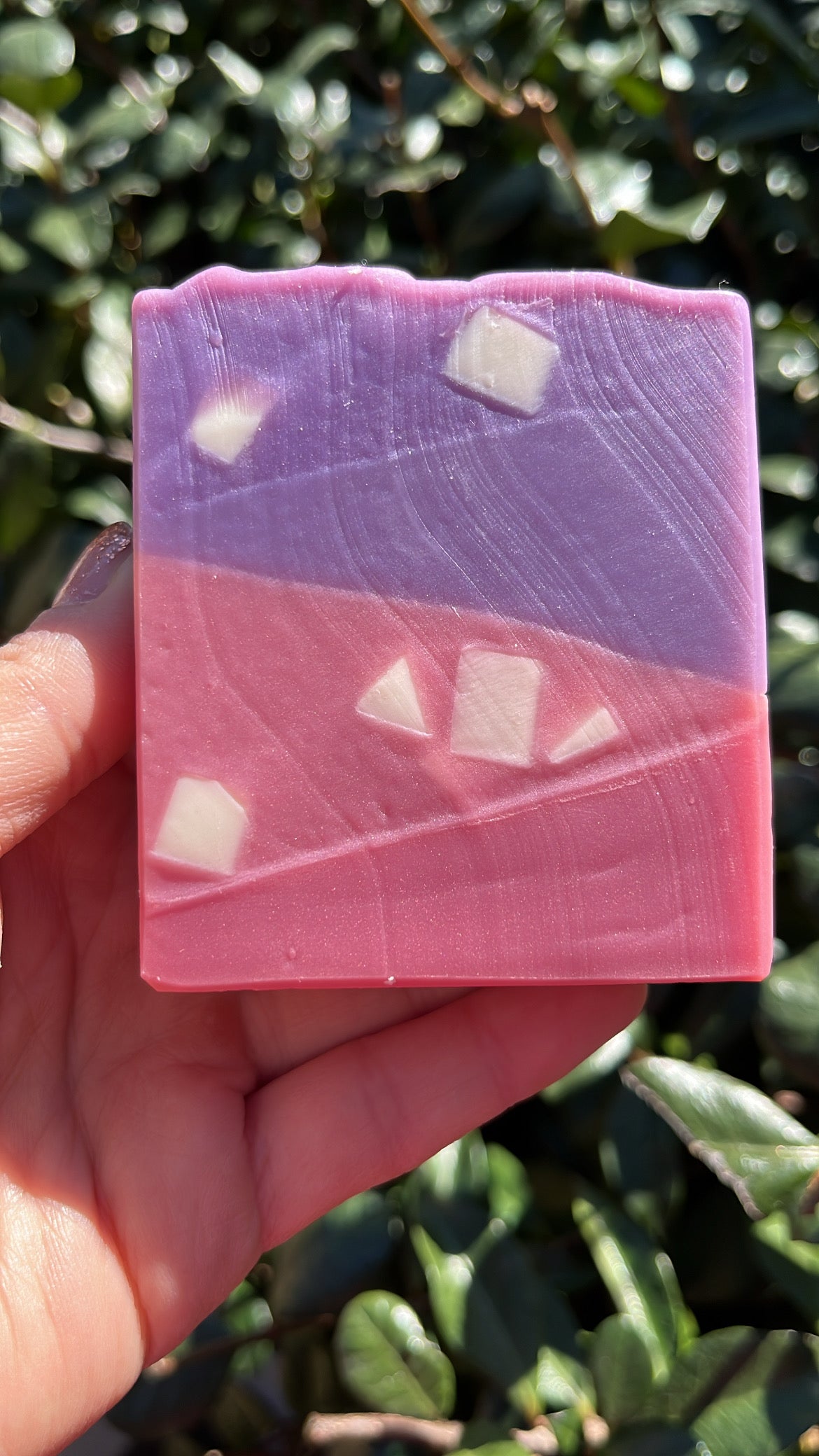 Guava & Fig Soap