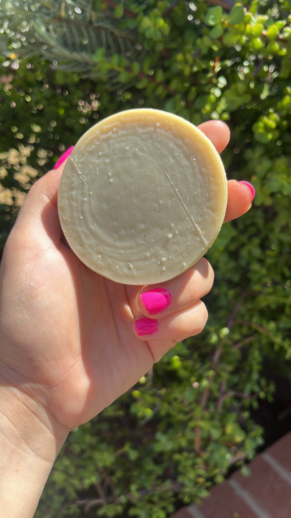 Oily Hair Shampoo Bar
