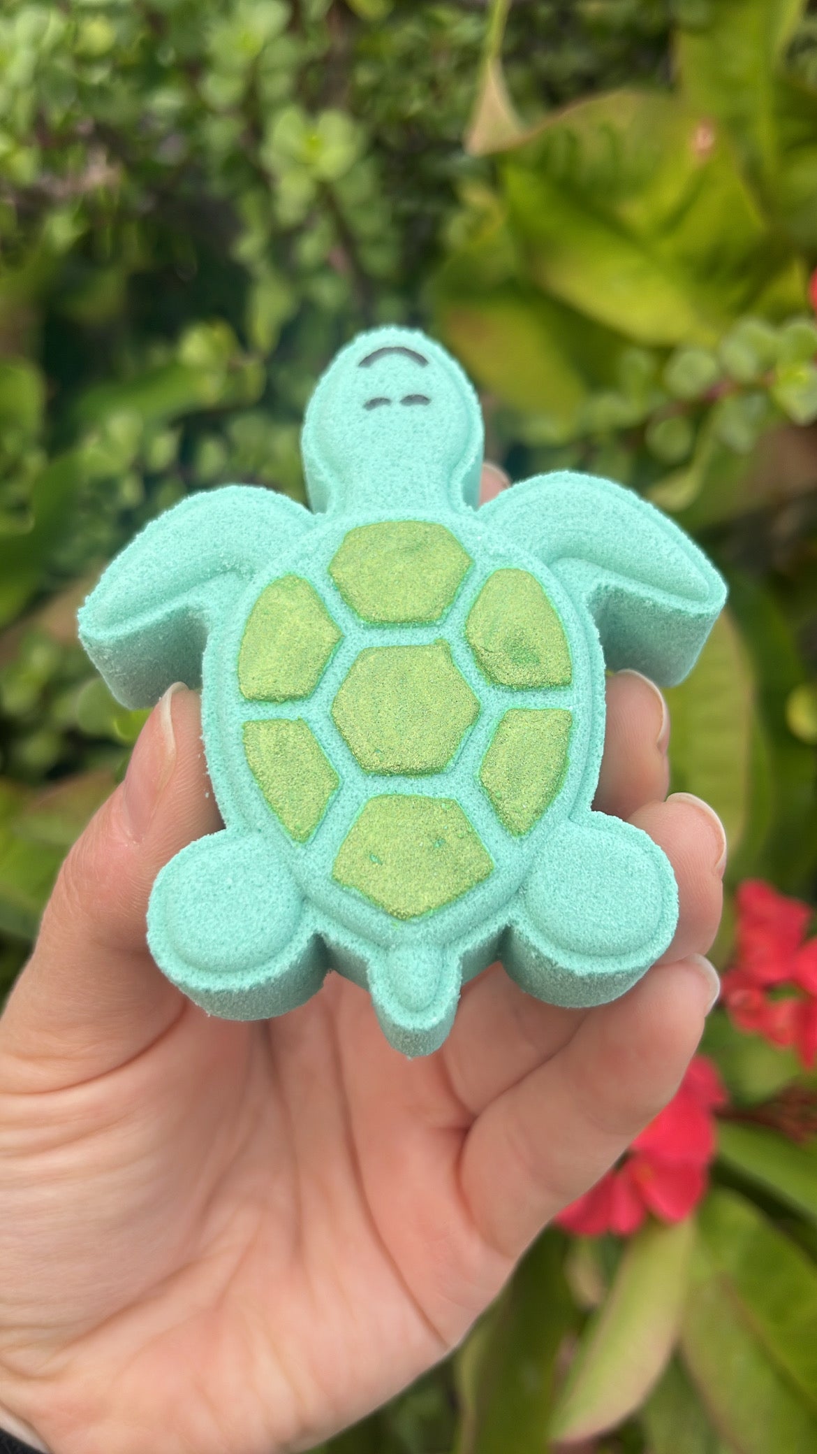 Turtle Bath Bomb