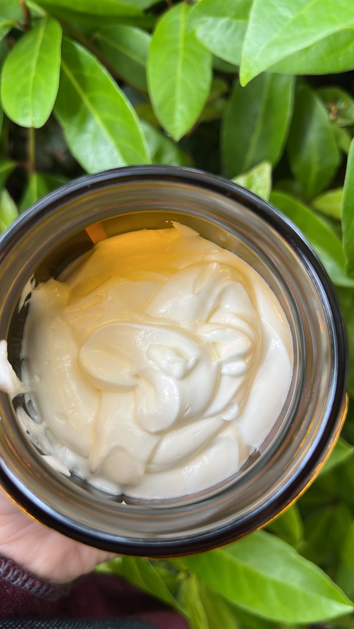 Beef Tallow Moisturizer Lavender Vanilla 4oz