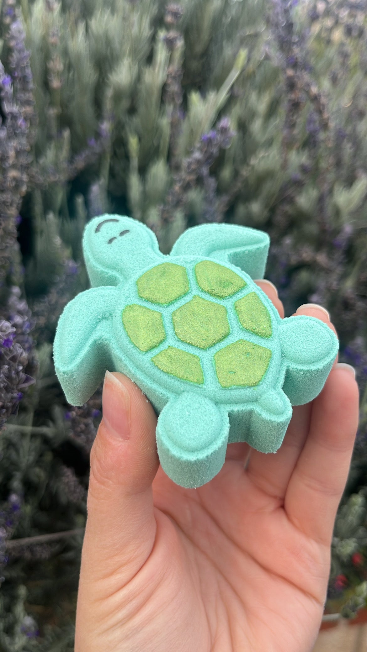 Turtle Bath Bomb