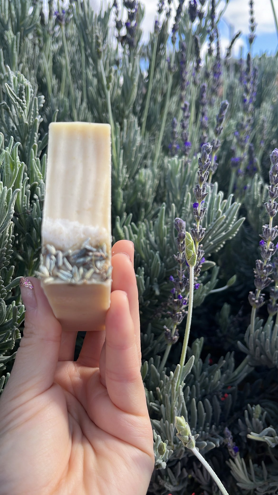 Lavender Oatmeal