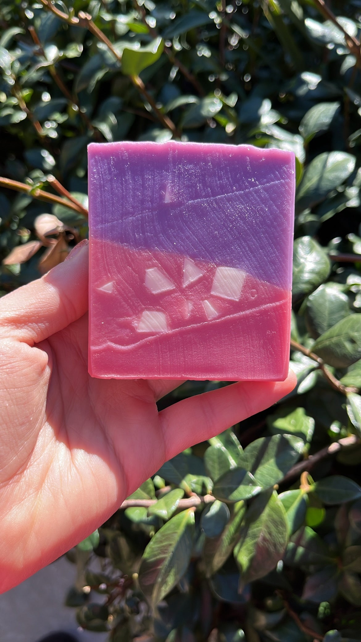 Guava & Fig Soap