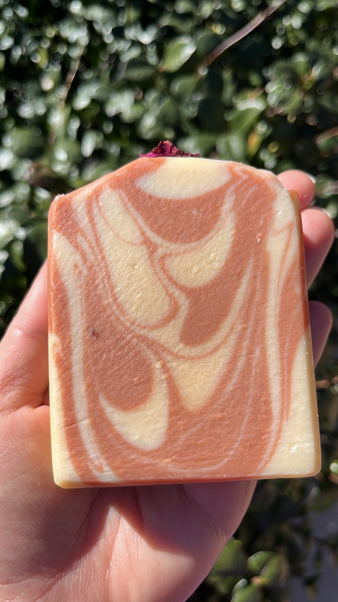 Honey Rose Clay Soap