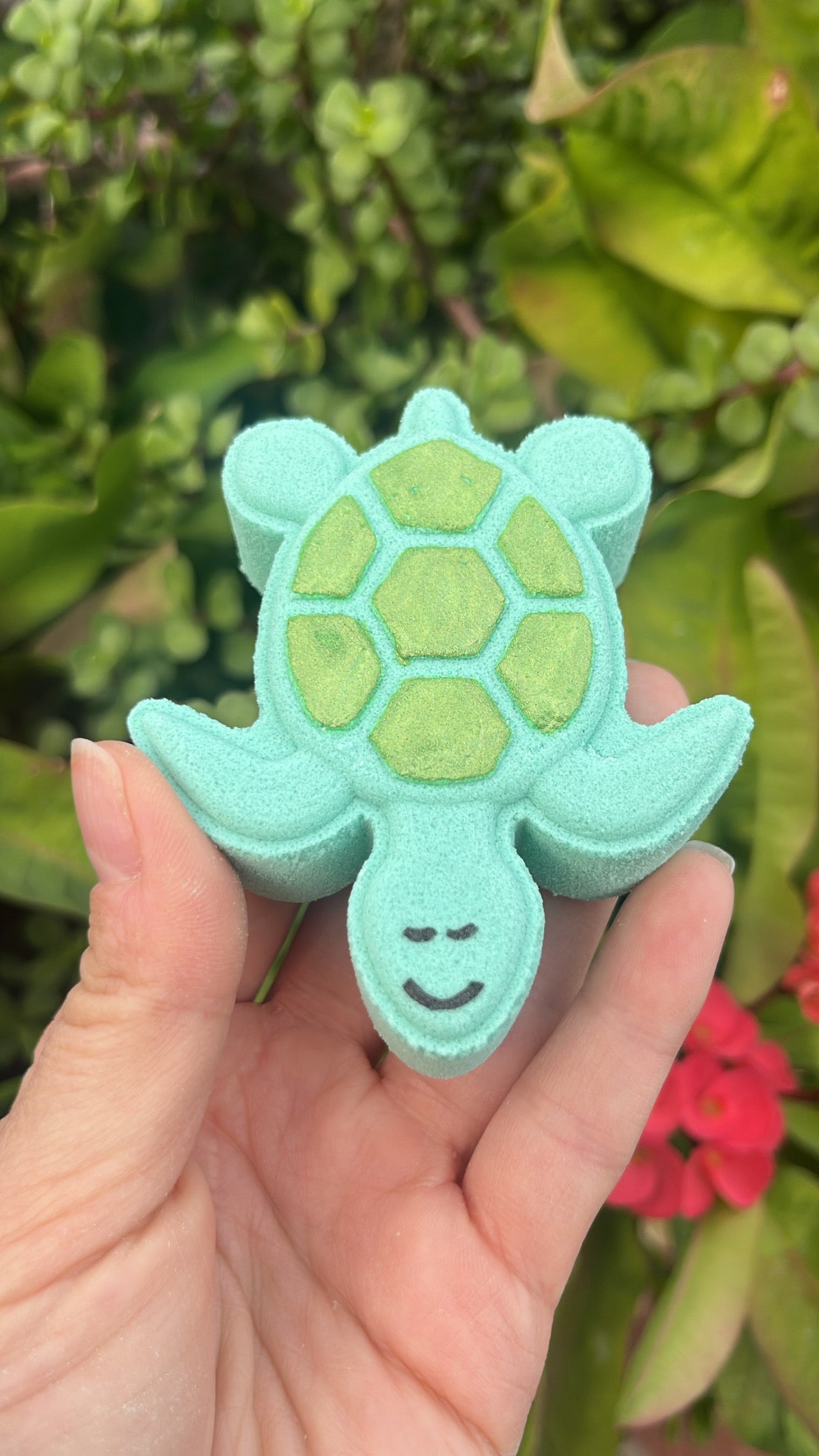 Turtle Bath Bomb