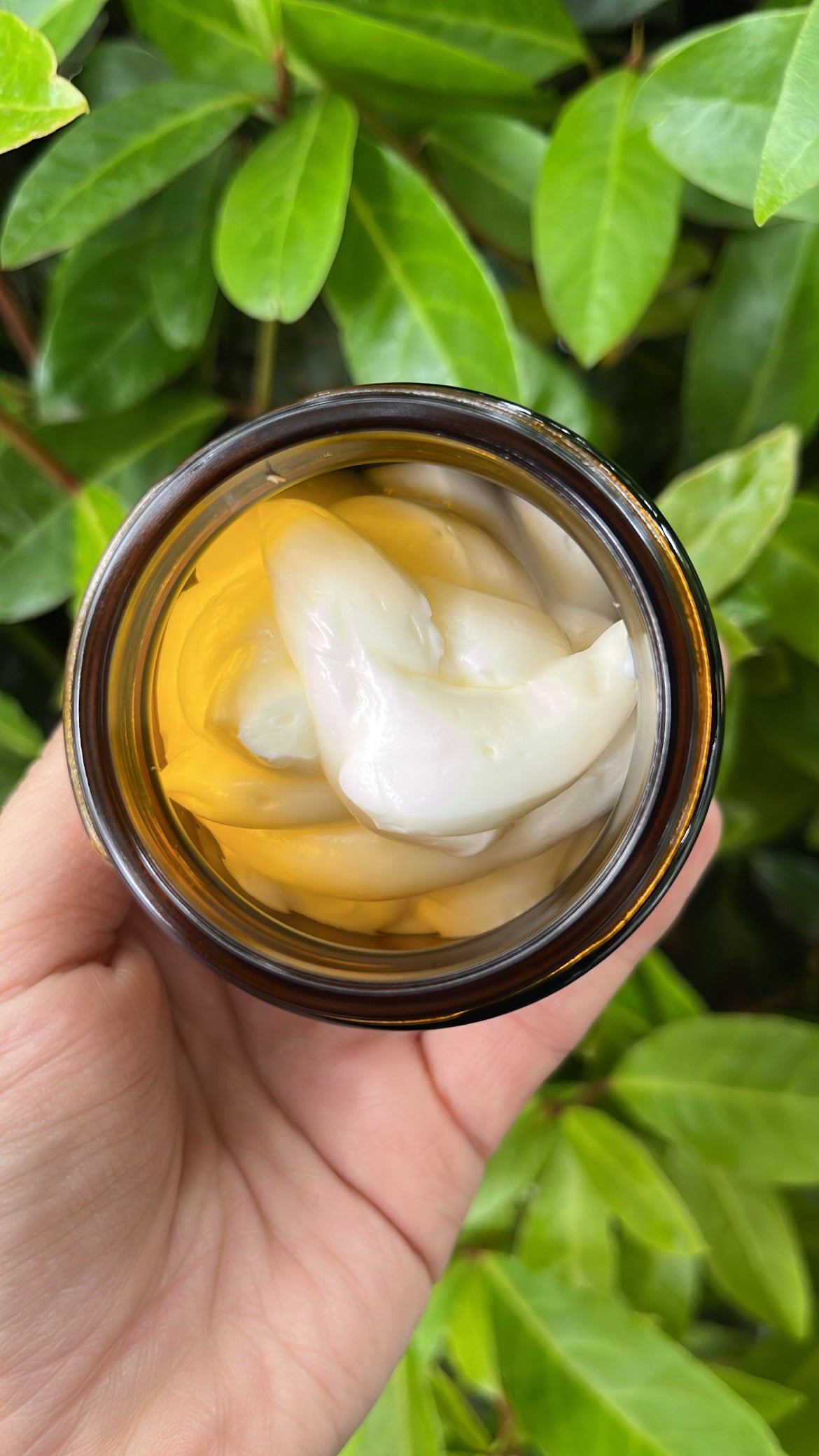 Unscented Beef Tallow Moisturizer 2oz
