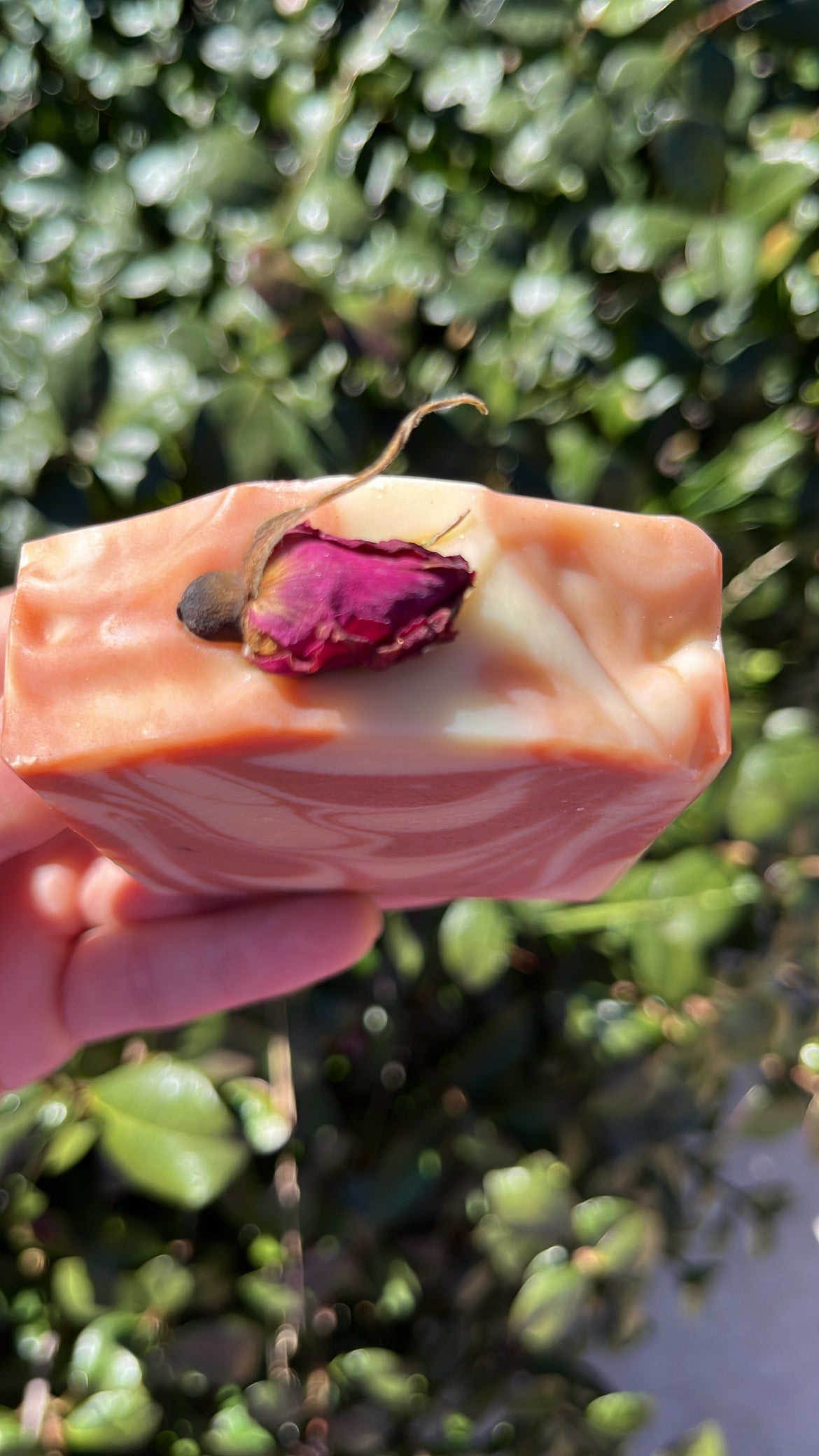 Honey Rose Clay Soap
