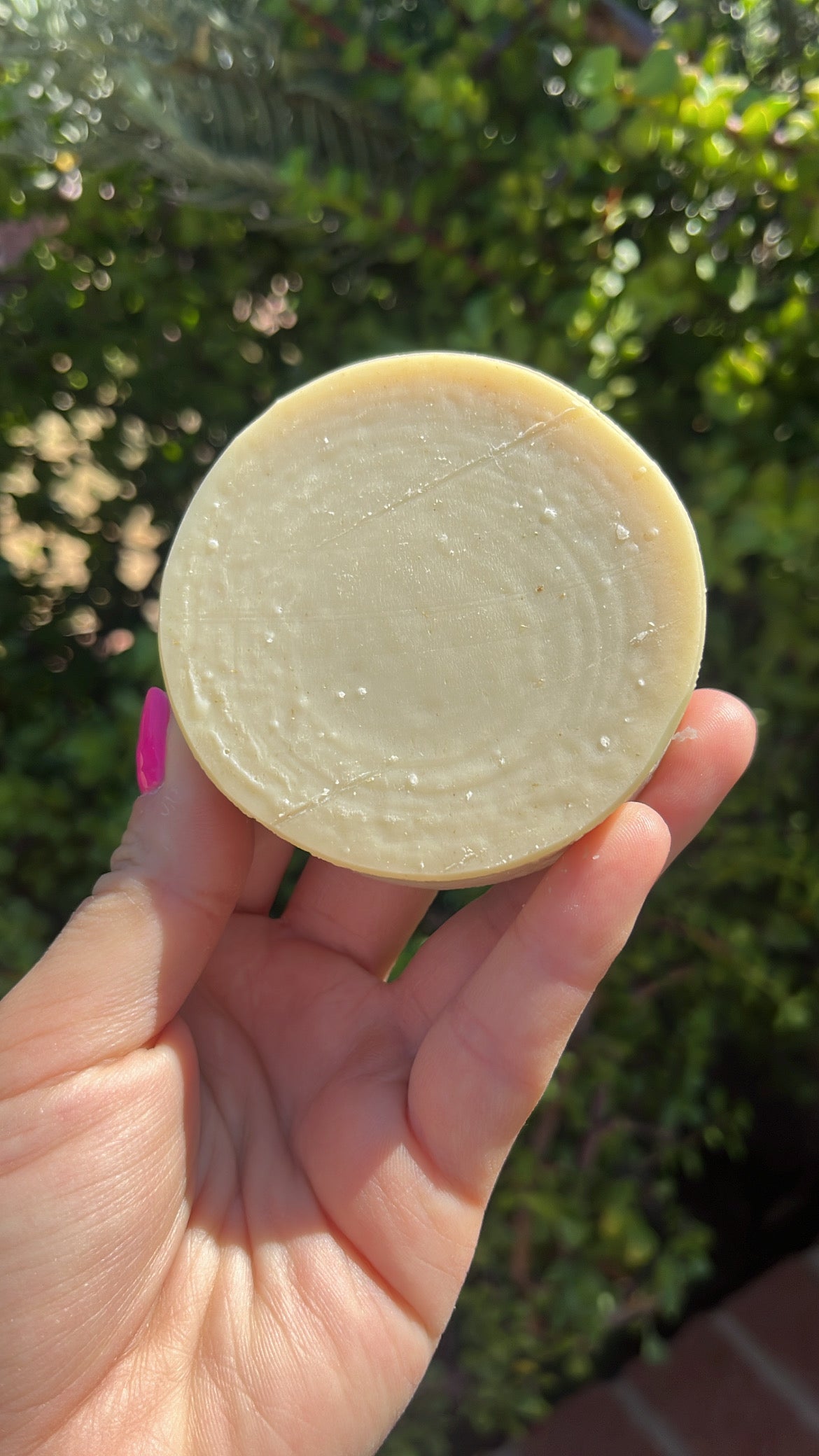 Oily Hair Shampoo Bar