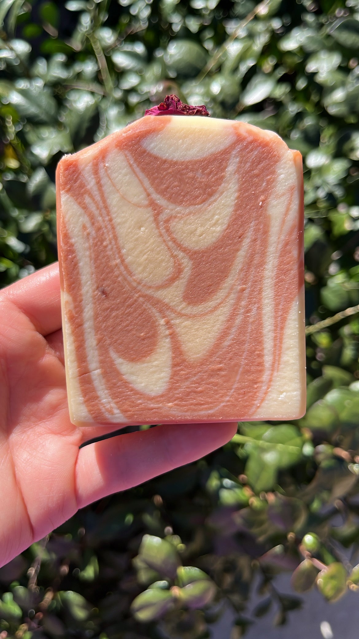 Honey Rose Clay Soap