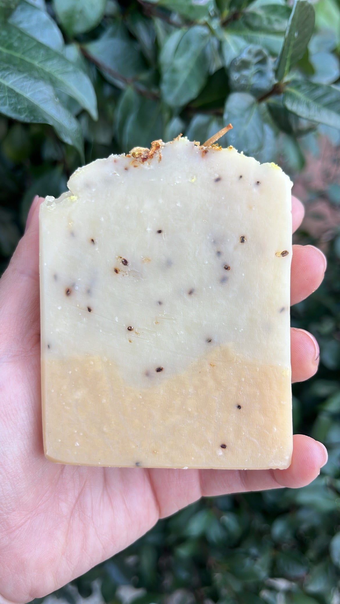 Jasmine Soap