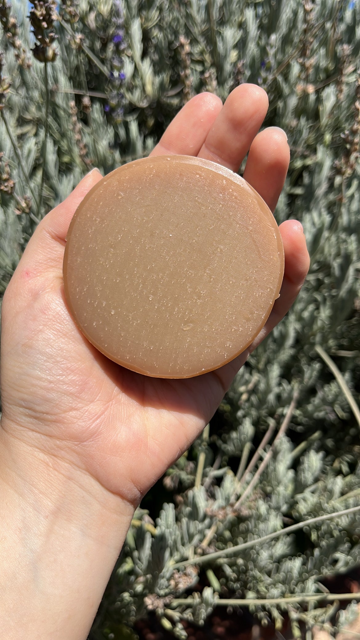Shampoo Bar (Thinning Hair)