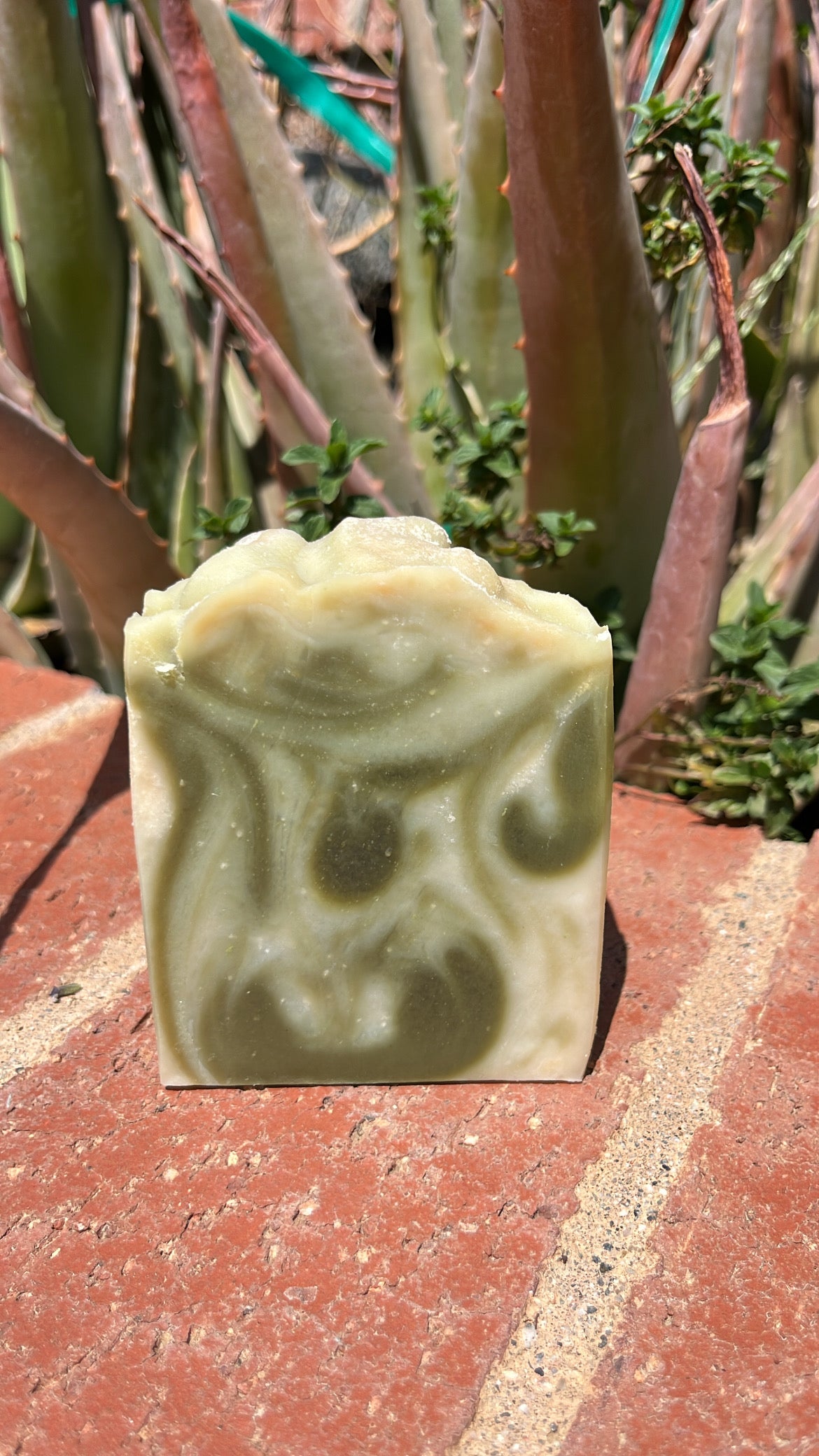Spearmint / Eucalyptus Soap