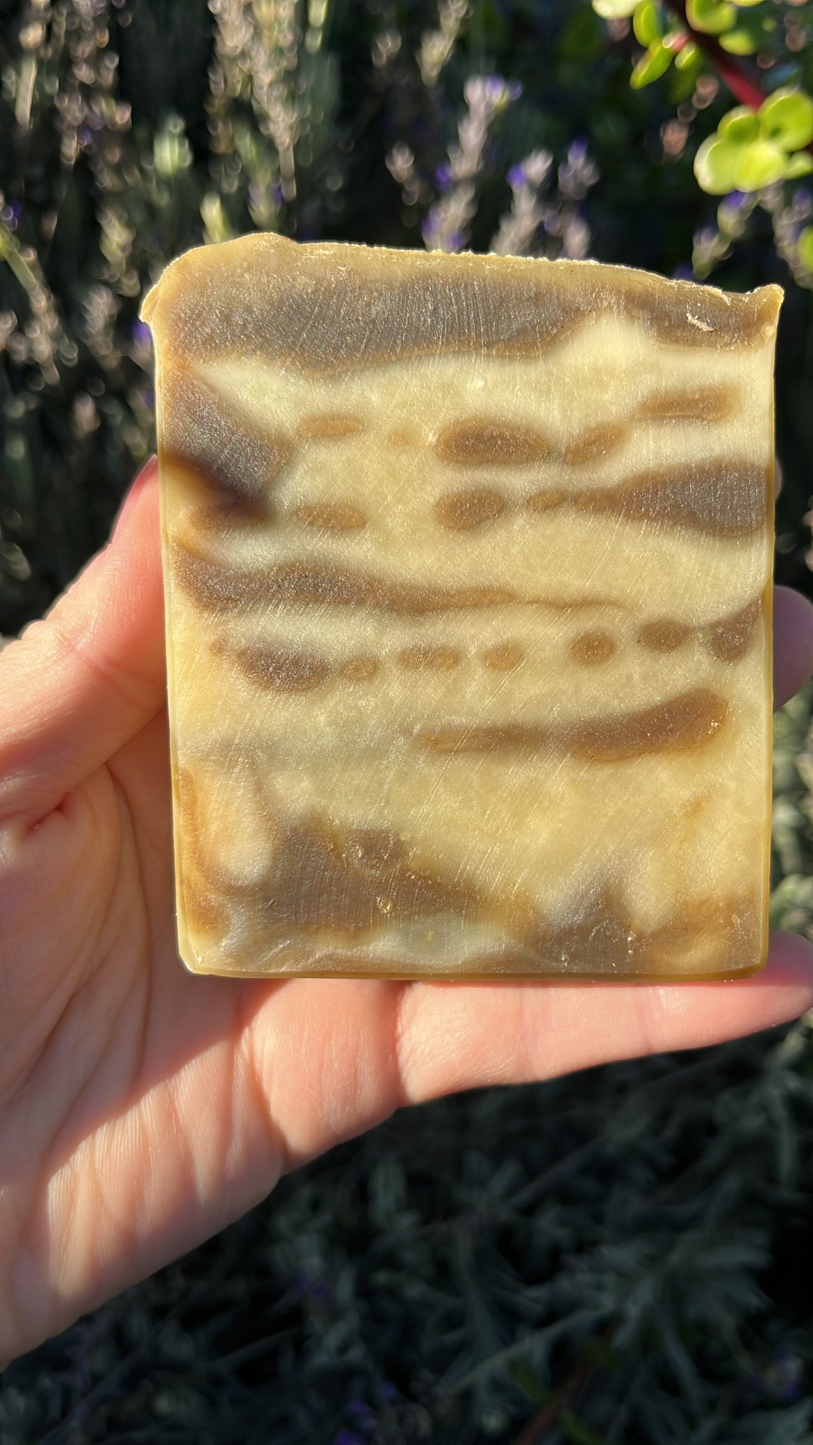 Lumberjack Man Soap