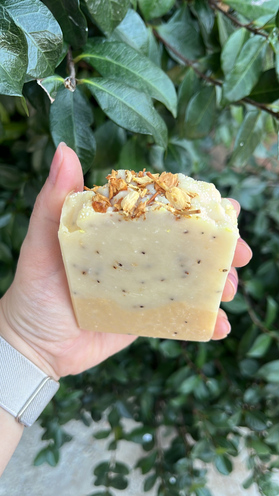 Jasmine Soap
