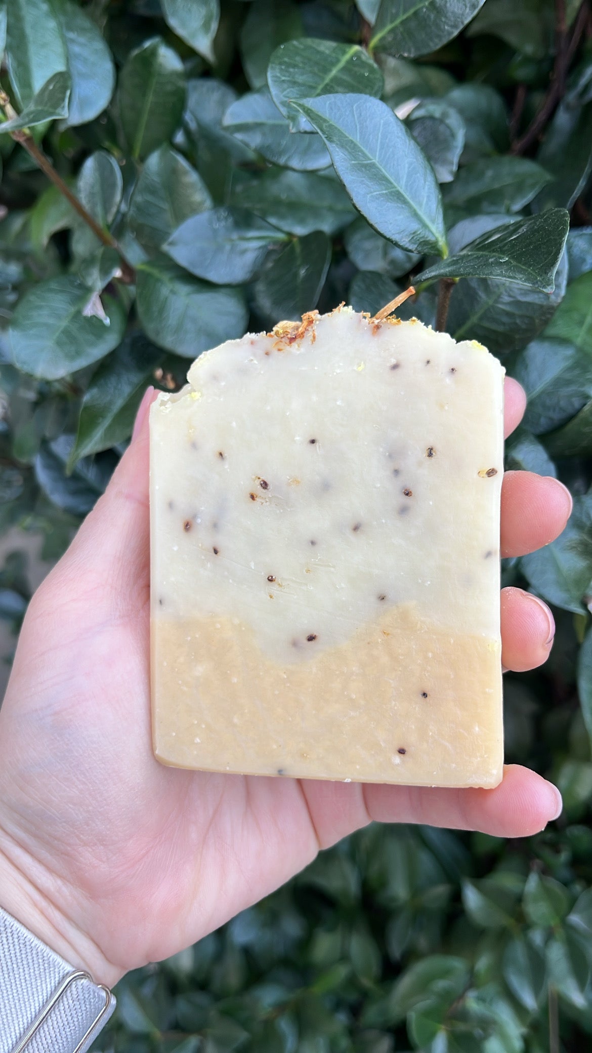 Jasmine Soap