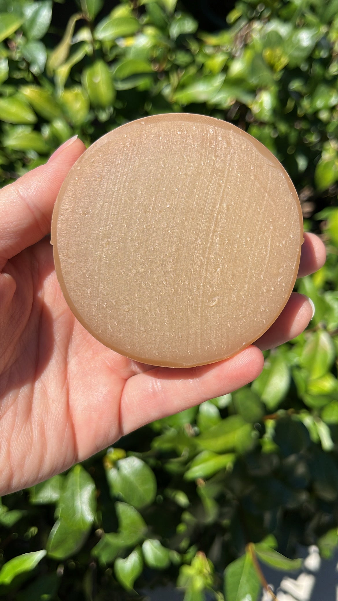 Shampoo Bar (Thinning Hair)