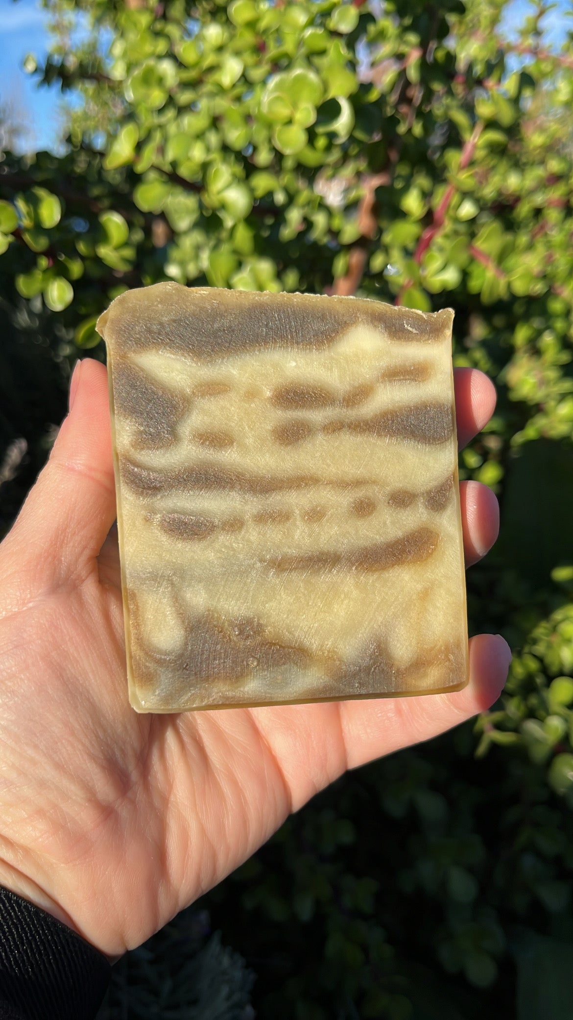 Lumberjack Man Soap
