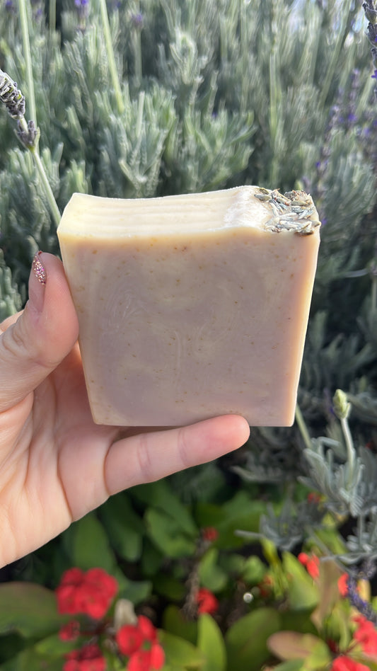 Lavender Oatmeal