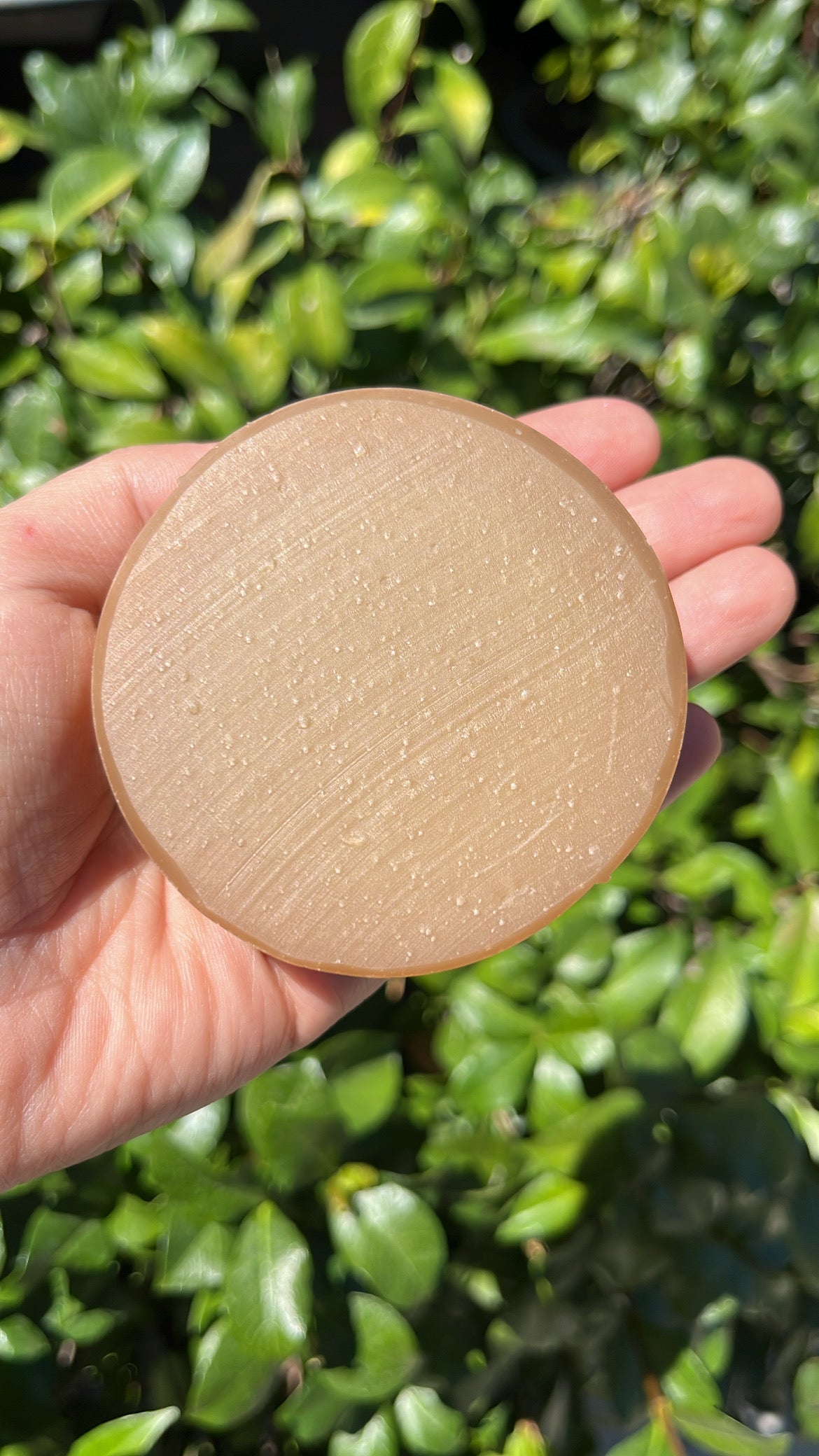 Shampoo Bar (Thinning Hair)
